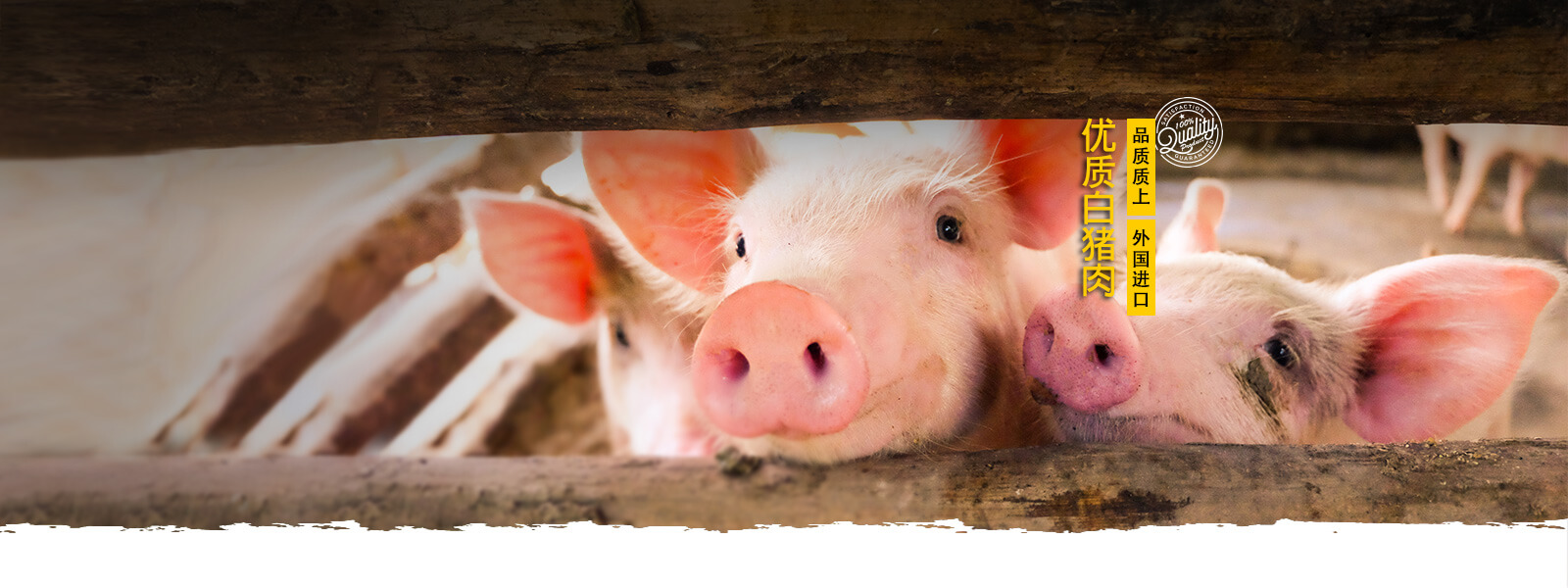 banner2-whitepork