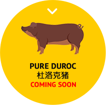 icon-pure-duroc-revised