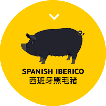 icon-spanish-iberico-218